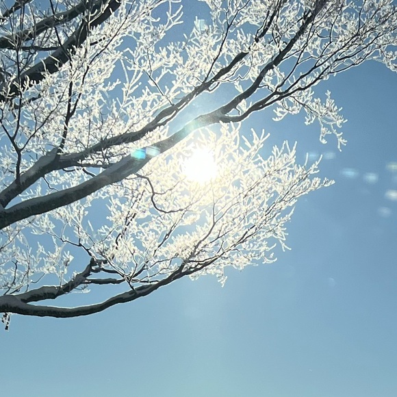 Meet your Posher! - Picture 1 of 1